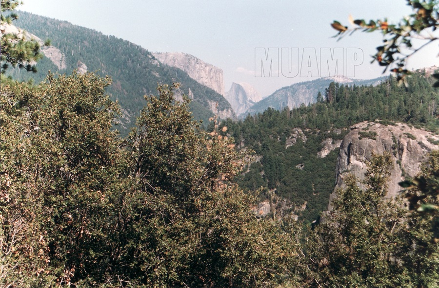 Yosemite National Park 1992